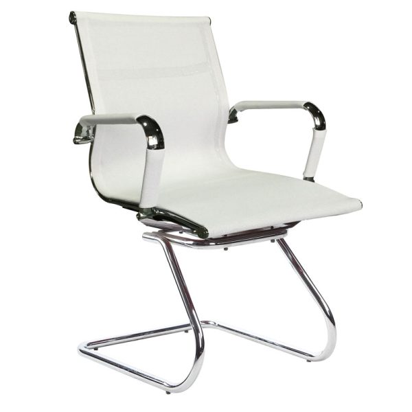 classic-eames-repro-visitors-netting-white