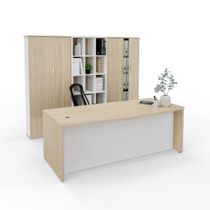 Managerial Panel Office Desk