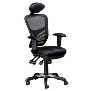 ergonet-3-with-headrest
