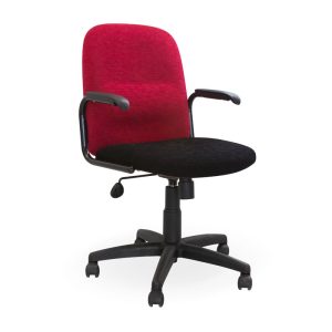 kingston-mid-back